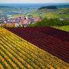 Family Hotels in Bischoffingen