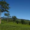 Lembang
