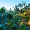 Hotels with Pools in Ubud
