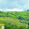 Amphoe Khao Kho