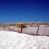 Hoteles de playa en Gulf Shores