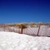 Pet-Friendly Hotels in Gulf Shores