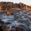 Monterey