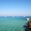 Protaras