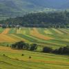 Pensiuni în Băile Felix