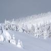 Kopaonik
