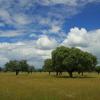 Hoteller i Villafranca de los Barros