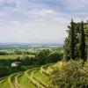 Hotel convenienti a Capriva del Friuli