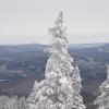 Saint-Sauveur-des-Monts