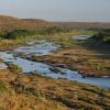 Glamping Sites in Balule Game Reserve