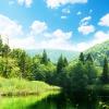 Rakovica