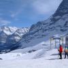 Hotels in Scheidegg