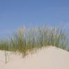 Beach rentals in Baltrum