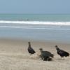 Hoteles familiares en San Jacinto