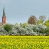 Hotell med parkering i Nienburg