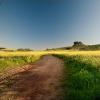 Durbanville