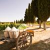 Farm Stays in Barberino di Val dʼElsa