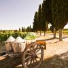 Farm stays in Barberino di Val dʼElsa