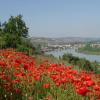 Chassagny şehrindeki otoparklar