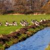 Hotell med parkering i Huldenberg