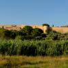 Hotel di Magliano in Toscana