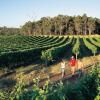 Farm stays in Margaret River Town