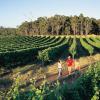 Margaret River