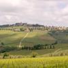 Pet-Friendly Hotels in Podere Panzano