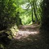 Parkolóval rendelkező hotelek Kaiserseschben