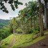 Parkolóval rendelkező hotelek Saint-Josephben