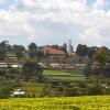 Hoteles en Kericho