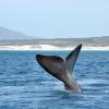 Hoteles familiares en Dana Bay