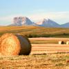 Hotel di Cardston