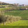 Holiday Rentals in Manoppello