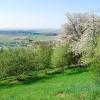 Hotels met Parkeren in Niedergottsau