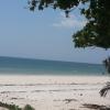 Nyali