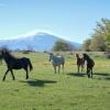 Hotels amb aparcament a San Fratello