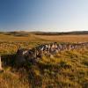 Hoteles baratos en Aumont-Aubrac