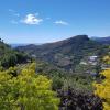 Apartments in Vallebona