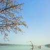 Ernakulam