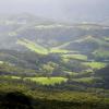 Cottages in Kangaroo Valley