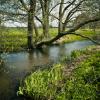 Hôtels à Nederzwalm-Hermelgem