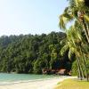 Holiday Rentals in Pasir Bogak