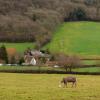 Cabañas en Yarcombe