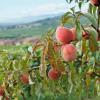 Παραλιακές κατοικίες σε La Rothière