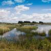 Cottages in Lakenheath