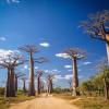 Hôtels à Morondava