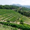 Hoteles con estacionamiento en Montalto Ligure