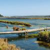 Casas y chalets en Peyriac-de-Mer