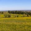 Parkolóval rendelkező hotelek Monte San Pietróban